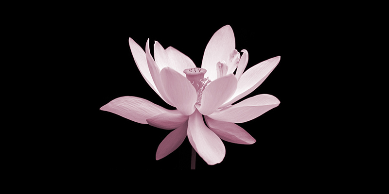 天命発動TUNINGー